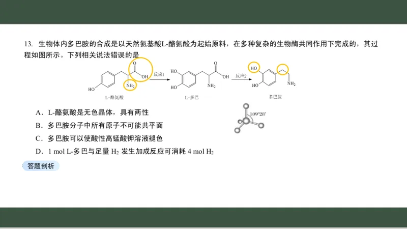 黑龙江省新时代高中教育联合体2026届高三上学期8月开学测试化学分析及详解_2025年8月_250828黑龙江省新时代高中教育联合体2026届高三上学期8月开学测试（全科）