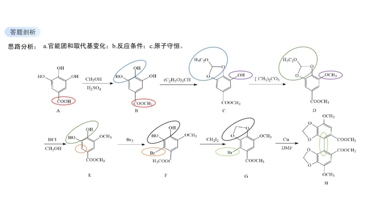 黑龙江省新时代高中教育联合体2026届高三上学期8月开学测试化学分析及详解_2025年8月_250828黑龙江省新时代高中教育联合体2026届高三上学期8月开学测试（全科）