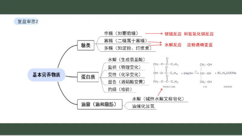 黑龙江省新时代高中教育联合体2026届高三上学期8月开学测试化学分析及详解_2025年8月_250828黑龙江省新时代高中教育联合体2026届高三上学期8月开学测试（全科）