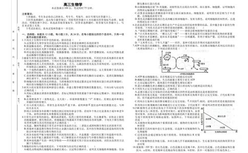 高三生物(1)_2026年1月_260106湖南省金太阳市、县级优质高中协作体2026届高三元月联考（全科）_湖南省金太阳市、县级优质高中协作体2026届高三元月联考生物