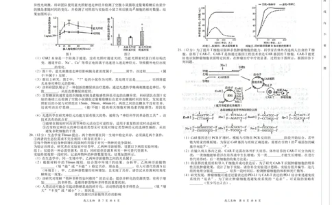 高三生物(1)_2026年1月_260106湖南省金太阳市、县级优质高中协作体2026届高三元月联考（全科）_湖南省金太阳市、县级优质高中协作体2026届高三元月联考生物