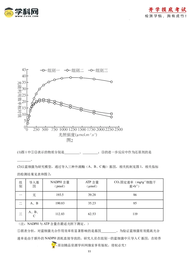 生物（天津卷）（全解全析）_2024届新高三开学摸底考试卷_生物-2024届新高三开学摸底考试卷_生物-2024届新高三开学摸底考试卷（天津卷）