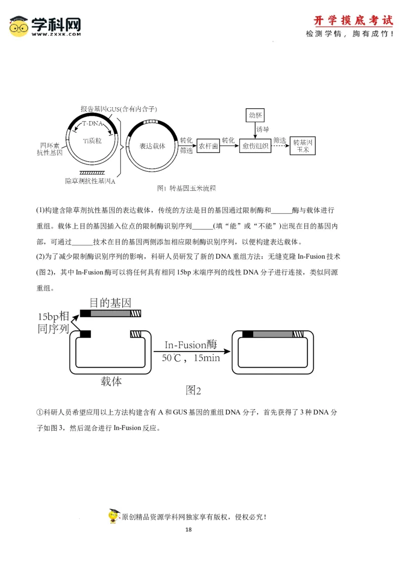 生物（天津卷）（全解全析）_2024届新高三开学摸底考试卷_生物-2024届新高三开学摸底考试卷_生物-2024届新高三开学摸底考试卷（天津卷）