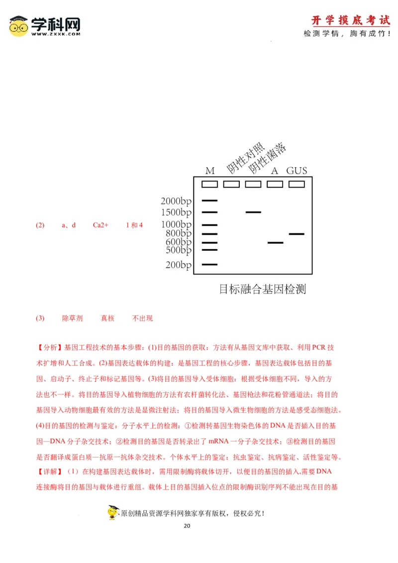 生物（天津卷）（全解全析）_2024届新高三开学摸底考试卷_生物-2024届新高三开学摸底考试卷_生物-2024届新高三开学摸底考试卷（天津卷）