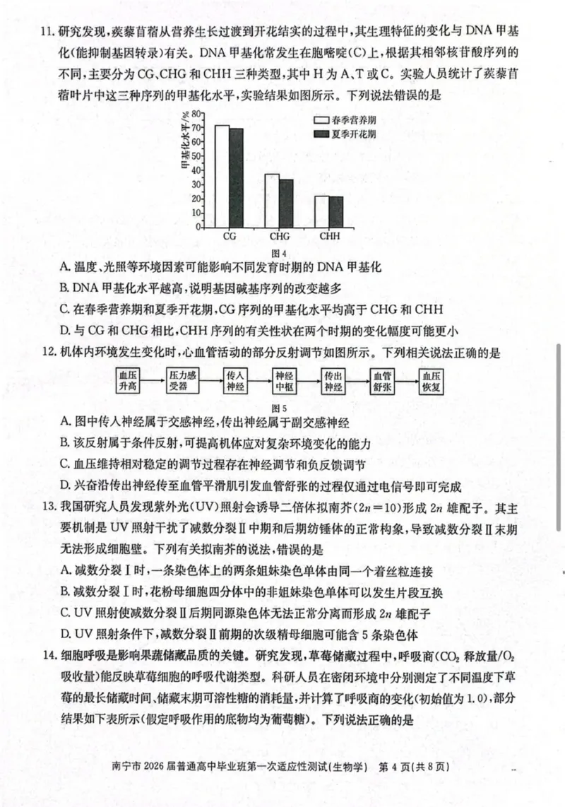 南宁市2026届普通高中毕业班第一次适应性测试生物试题含答案(1)_2026年1月_260121广西南宁市2026届普通高中毕业班第一次适应性测试（全科）