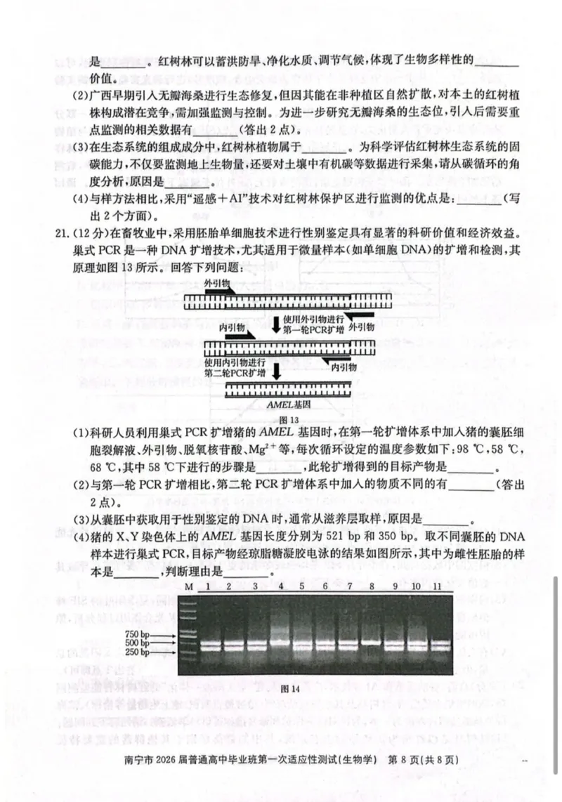 南宁市2026届普通高中毕业班第一次适应性测试生物试题含答案(1)_2026年1月_260121广西南宁市2026届普通高中毕业班第一次适应性测试（全科）