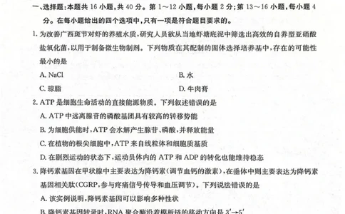南宁市2026届普通高中毕业班第一次适应性测试生物试题含答案(1)_2026年1月_260121广西南宁市2026届普通高中毕业班第一次适应性测试（全科）