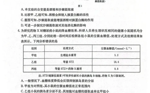 南宁市2026届普通高中毕业班第一次适应性测试生物试题含答案(1)_2026年1月_260121广西南宁市2026届普通高中毕业班第一次适应性测试（全科）