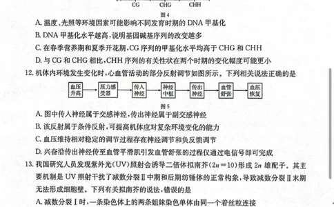 南宁市2026届普通高中毕业班第一次适应性测试生物试题含答案(1)_2026年1月_260121广西南宁市2026届普通高中毕业班第一次适应性测试（全科）
