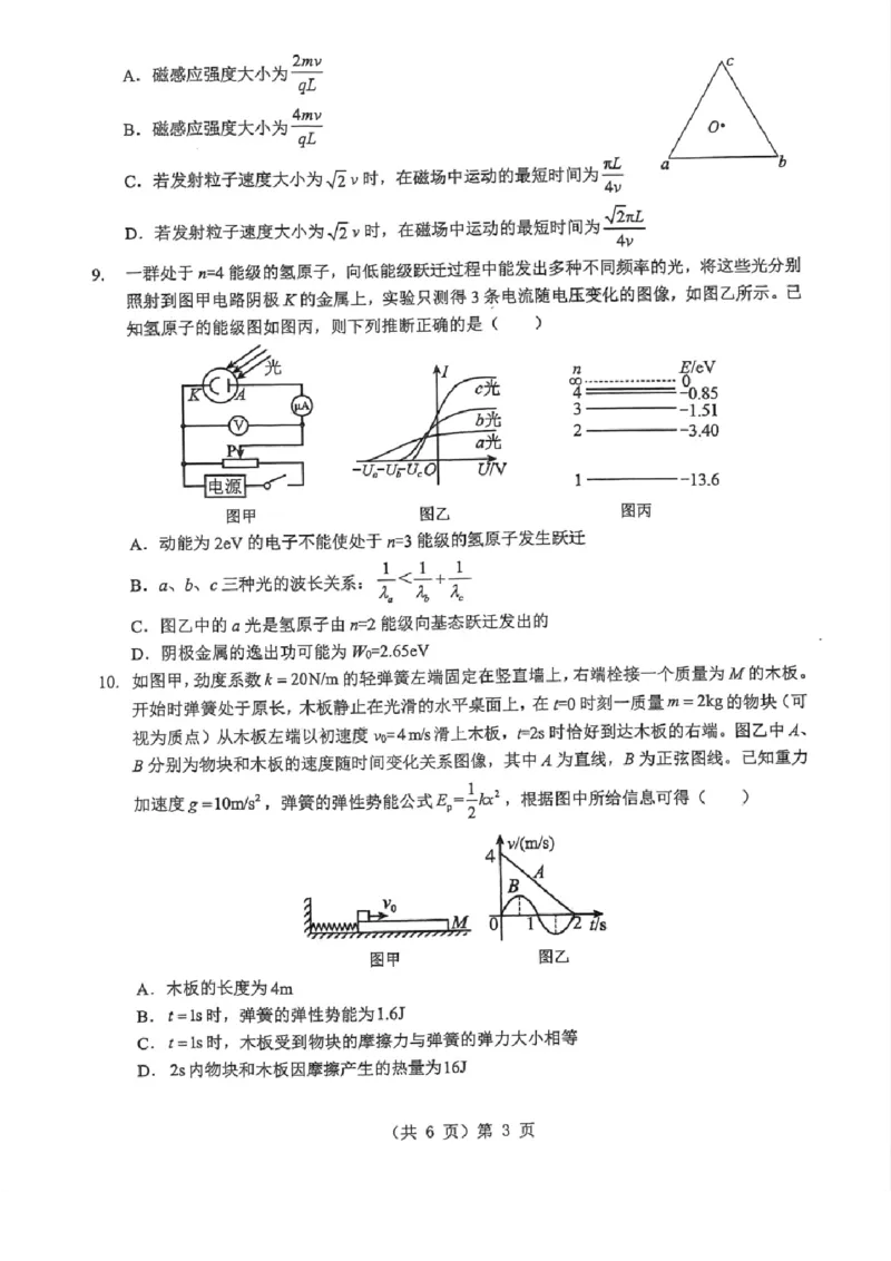 湖北省2026届高三上学期元月调考物理(1)_2026年1月_260116湖北省2026届高三上学期元月调考（全科）