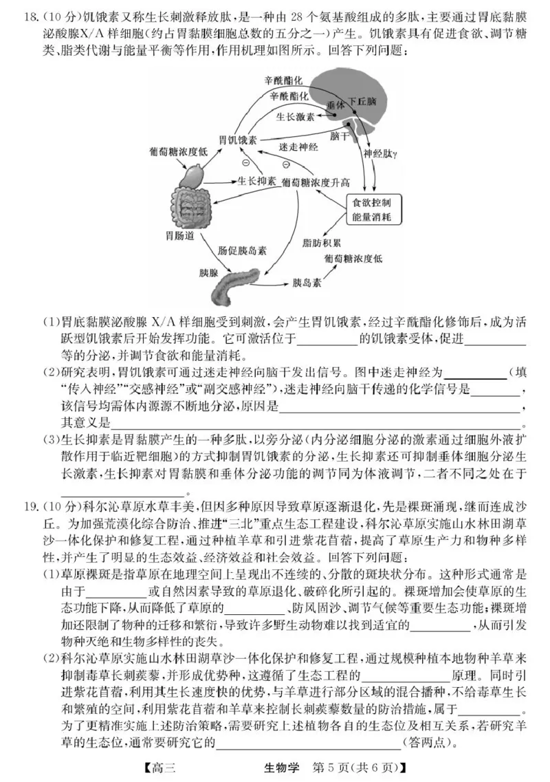 青海省西宁市大通县2026届高三上学期开学摸底考试生物+答案_2025年9月_250923青海省西宁市大通县2026届高三上学期开学摸底考试（26-L-040C）（全科）