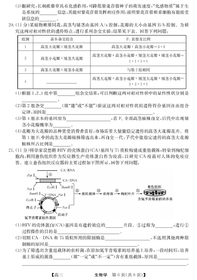 青海省西宁市大通县2026届高三上学期开学摸底考试生物+答案_2025年9月_250923青海省西宁市大通县2026届高三上学期开学摸底考试（26-L-040C）（全科）