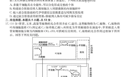 青海省西宁市大通县2026届高三上学期开学摸底考试生物+答案_2025年9月_250923青海省西宁市大通县2026届高三上学期开学摸底考试（26-L-040C）（全科）