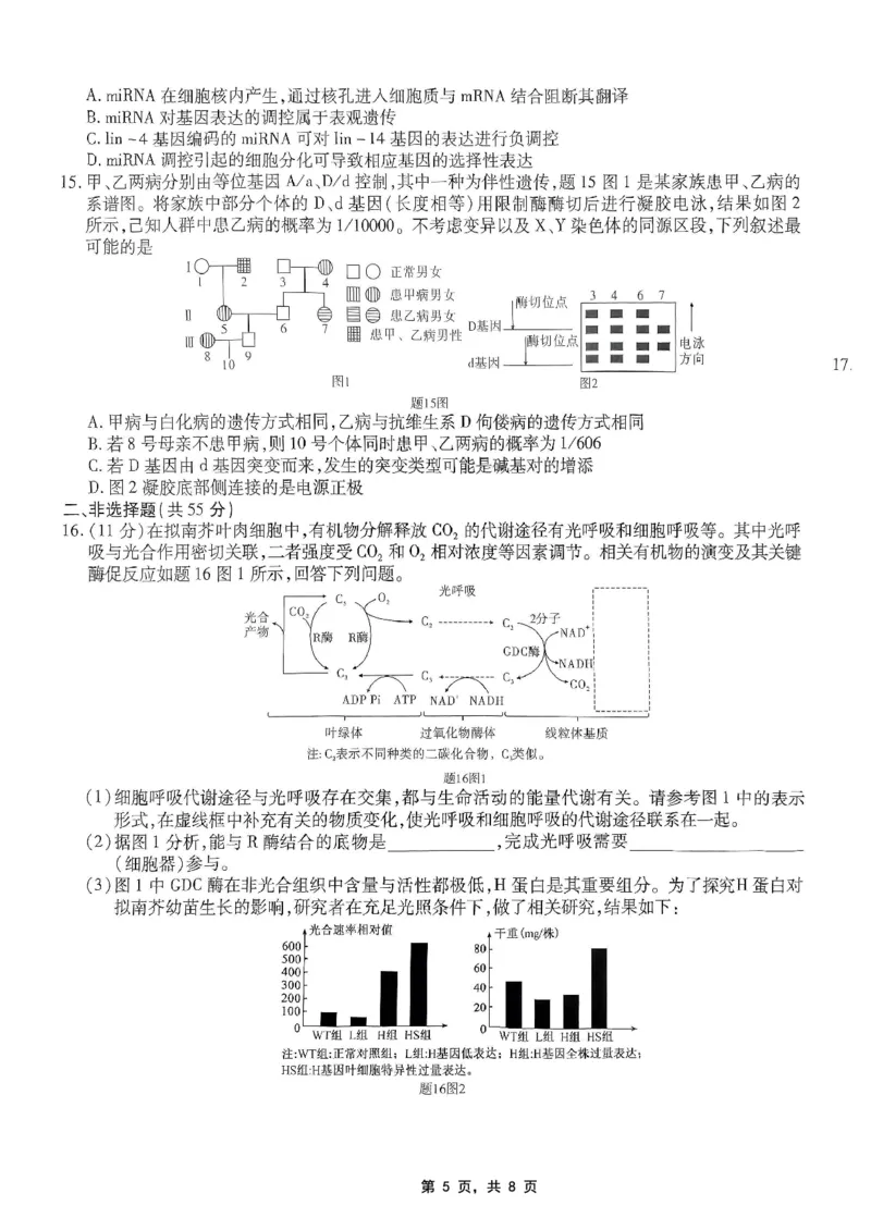 重庆市南开中学高2025届高三第八次质量检测生物_2025年5月_250510重庆市南开中学高2025届高三第八次质量检测（全科）_重庆市南开中学高2025届高三第八次质量检测生物