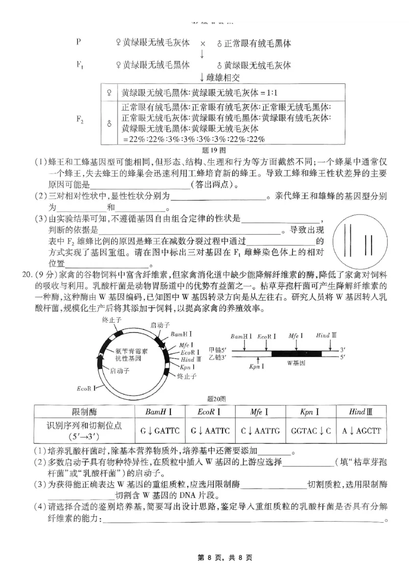 重庆市南开中学高2025届高三第八次质量检测生物_2025年5月_250510重庆市南开中学高2025届高三第八次质量检测（全科）_重庆市南开中学高2025届高三第八次质量检测生物