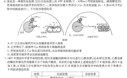 重庆市南开中学高2025届高三第八次质量检测生物_2025年5月_250510重庆市南开中学高2025届高三第八次质量检测（全科）_重庆市南开中学高2025届高三第八次质量检测生物