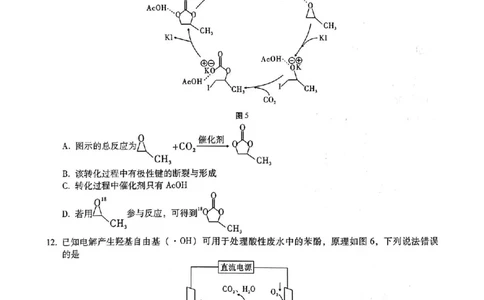 重庆市第八中学2025届高三5月适应性月考卷（七）化学_2025年5月_250515重庆市第八中学2025届高三5月适应性月考卷（七）（全科）