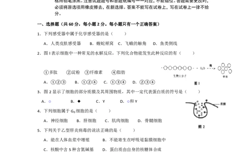 2013年高考生物试卷（上海）（空白卷）_生物历年高考真题_新&middot;PDF版2008-2025&middot;高考生物真题_生物（按年份分类）2008-2025_2013&middot;高考生物真题