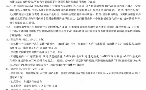 2024河南省部分名校高三核心模拟（一）生物答案_2023年9月_01每日更新_19号_2024九师联盟（河南省名校）高三上学期核心模拟（一）