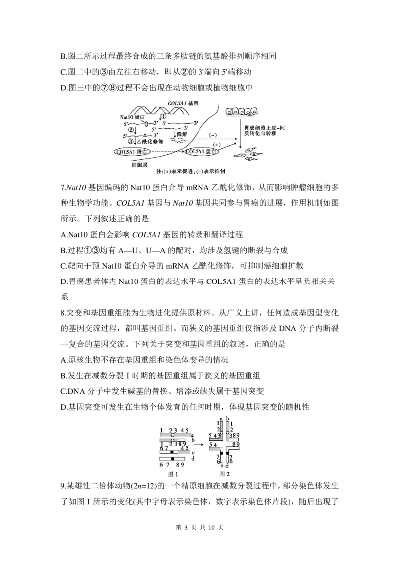 高三生物试卷_2025年11月_251118安徽省皖豫联考2026届高三上学期11月期中考试（全科）_安徽省皖豫联考2025-2026学年高三上学期11月期中生物试题（含答案）_高三生物