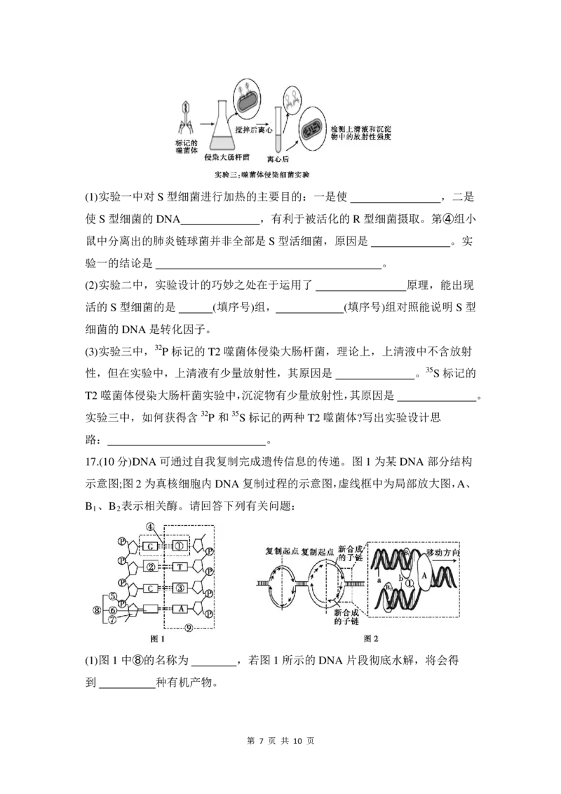 高三生物试卷_2025年11月_251118安徽省皖豫联考2026届高三上学期11月期中考试（全科）_安徽省皖豫联考2025-2026学年高三上学期11月期中生物试题（含答案）_高三生物