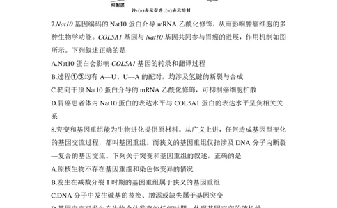 高三生物试卷_2025年11月_251118安徽省皖豫联考2026届高三上学期11月期中考试（全科）_安徽省皖豫联考2025-2026学年高三上学期11月期中生物试题（含答案）_高三生物