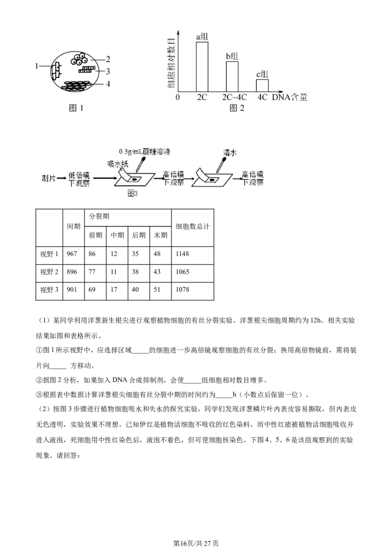 天津市耀华中学2023-2024学年高三上学期第一次月考生物试题（解析版）(1)_2023年10月_0210月合集_2024届天津市耀华中学高三上学期10月月考_天津市耀华中学2024届高三上学期10月月考生物