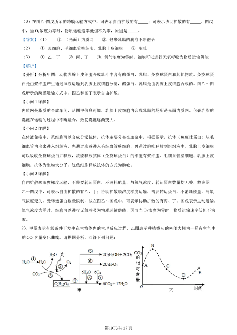 天津市耀华中学2023-2024学年高三上学期第一次月考生物试题（解析版）(1)_2023年10月_0210月合集_2024届天津市耀华中学高三上学期10月月考_天津市耀华中学2024届高三上学期10月月考生物