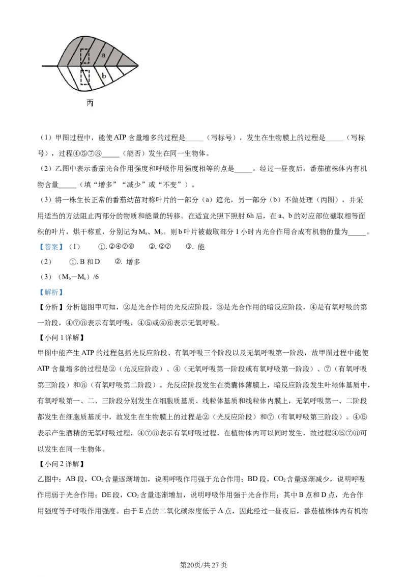 天津市耀华中学2023-2024学年高三上学期第一次月考生物试题（解析版）(1)_2023年10月_0210月合集_2024届天津市耀华中学高三上学期10月月考_天津市耀华中学2024届高三上学期10月月考生物