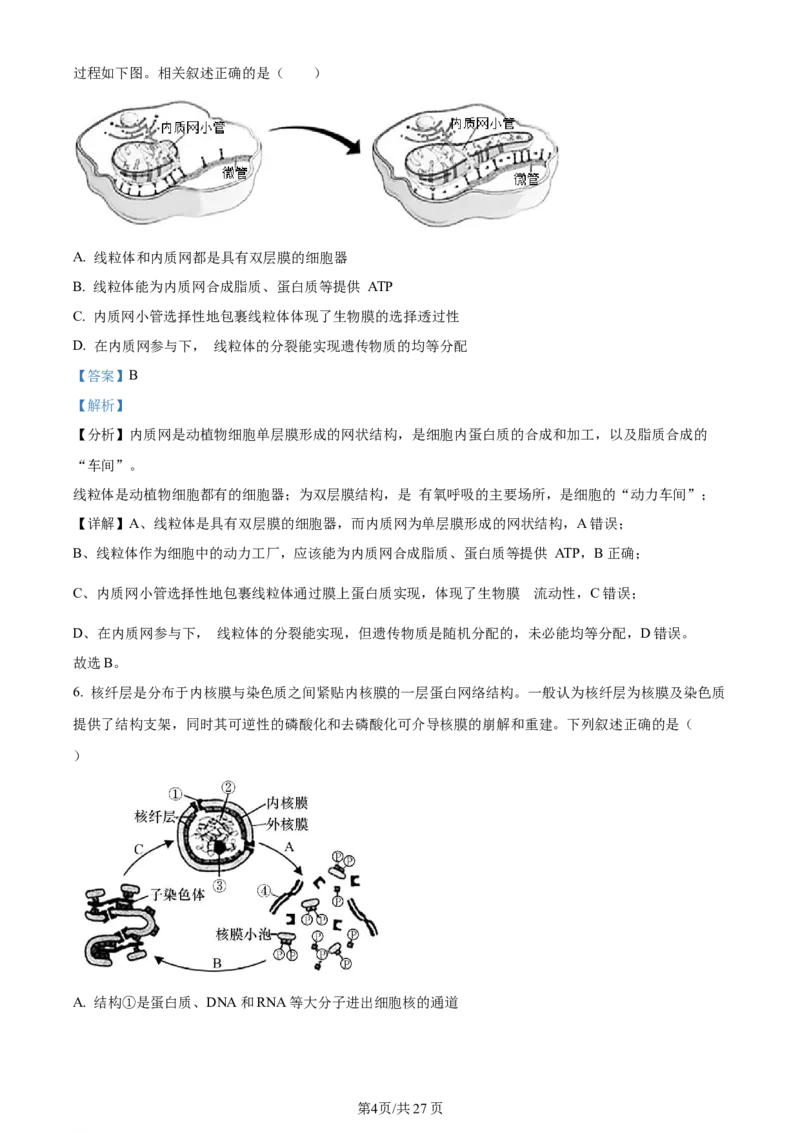 天津市耀华中学2023-2024学年高三上学期第一次月考生物试题（解析版）(1)_2023年10月_0210月合集_2024届天津市耀华中学高三上学期10月月考_天津市耀华中学2024届高三上学期10月月考生物