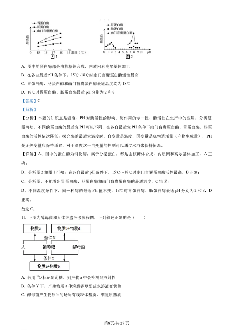 天津市耀华中学2023-2024学年高三上学期第一次月考生物试题（解析版）(1)_2023年10月_0210月合集_2024届天津市耀华中学高三上学期10月月考_天津市耀华中学2024届高三上学期10月月考生物