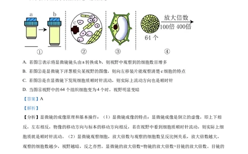 天津市耀华中学2023-2024学年高三上学期第一次月考生物试题（解析版）(1)_2023年10月_0210月合集_2024届天津市耀华中学高三上学期10月月考_天津市耀华中学2024届高三上学期10月月考生物