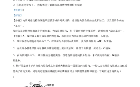 天津市耀华中学2023-2024学年高三上学期第一次月考生物试题（解析版）(1)_2023年10月_0210月合集_2024届天津市耀华中学高三上学期10月月考_天津市耀华中学2024届高三上学期10月月考生物
