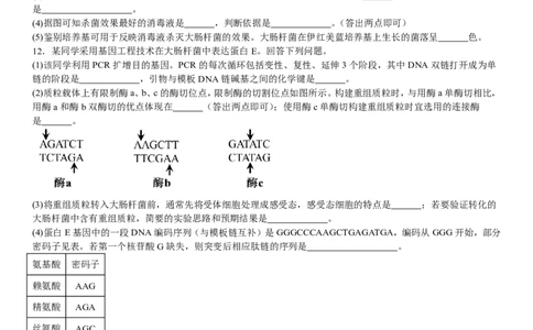 全国甲卷生物-试题-p_近10年高考真题汇编（必刷）_2024年高考真题_高考真题（截止6.29）_全国甲卷（8科）