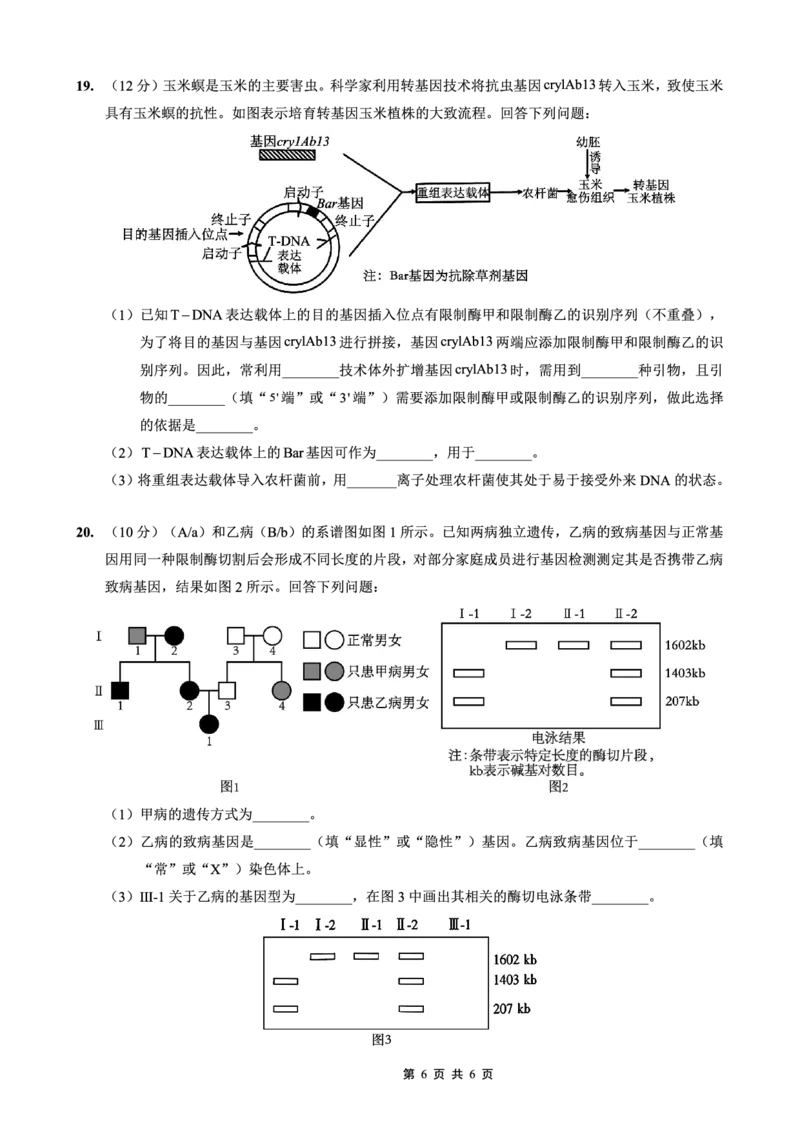 重庆外国语学校2026届高三（上）开学考试生物_2025年9月_250906重庆市重庆外国语学校2026届高三（上）开学考试（全科）