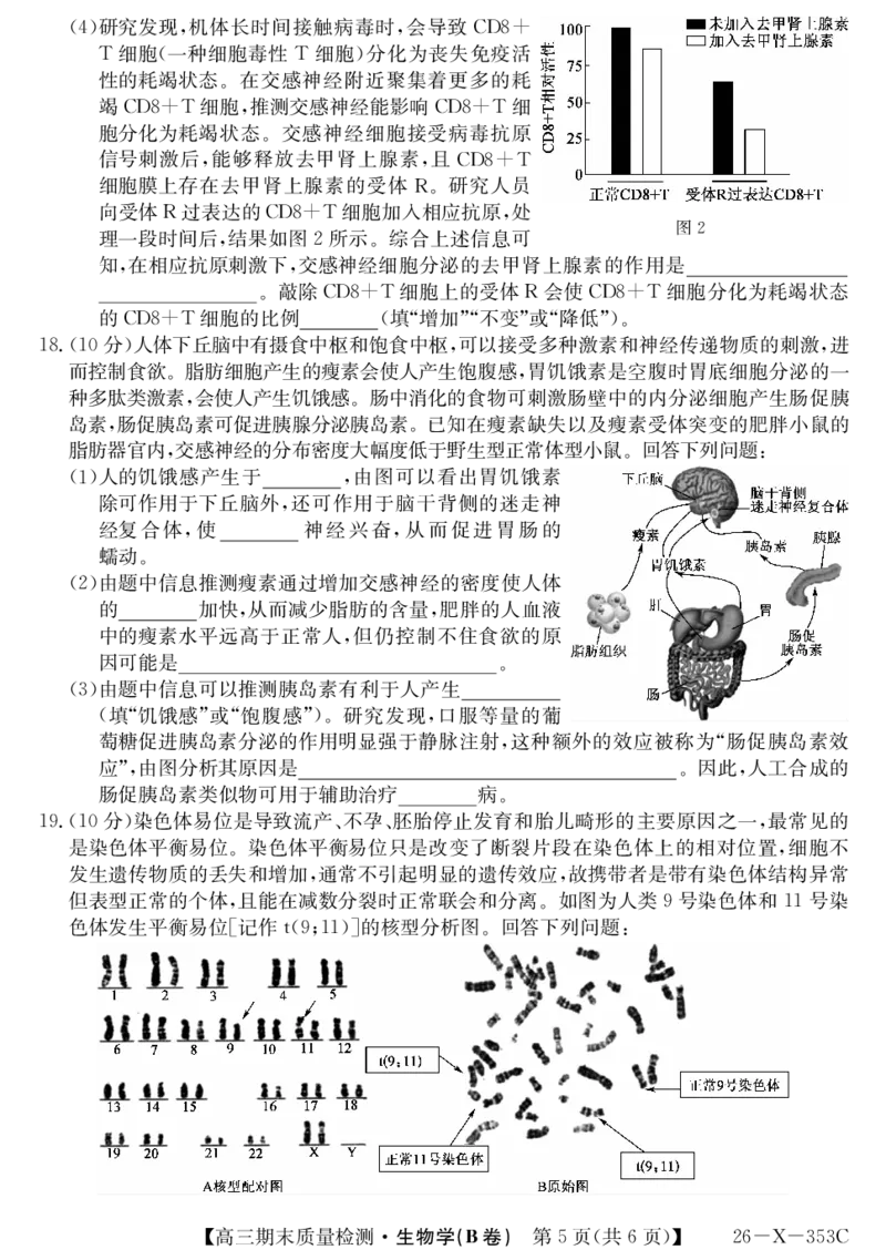 安徽省县域合作共享联盟2025-2026学年高三上学期1月期末质量检测-生物（B卷)(1)_2026年1月_260118安徽省县域合作共享联盟2025-2026学年高三上学期1月期末质量检测（26-X-353C）（全科）