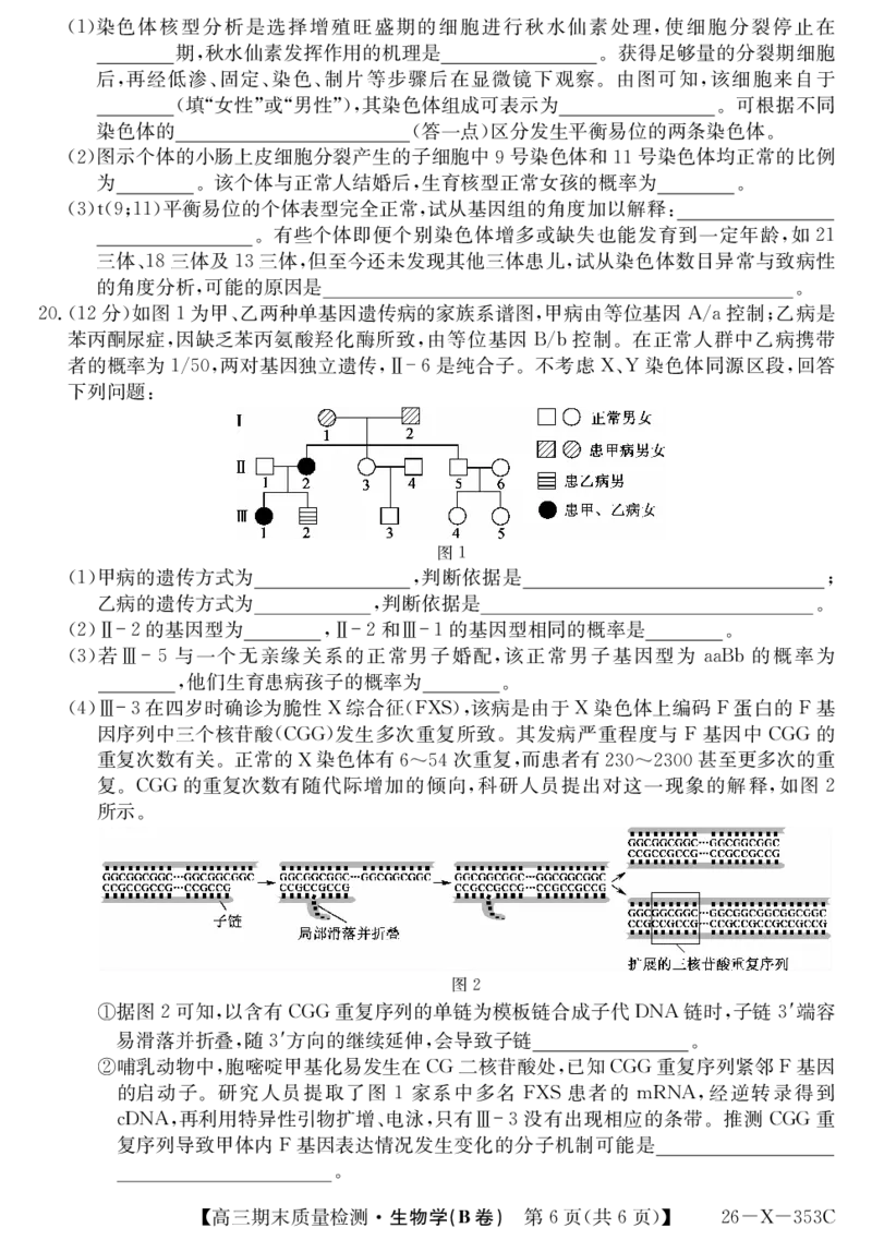 安徽省县域合作共享联盟2025-2026学年高三上学期1月期末质量检测-生物（B卷)(1)_2026年1月_260118安徽省县域合作共享联盟2025-2026学年高三上学期1月期末质量检测（26-X-353C）（全科）