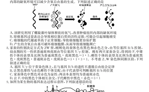 安徽省县域合作共享联盟2025-2026学年高三上学期1月期末质量检测-生物（B卷)(1)_2026年1月_260118安徽省县域合作共享联盟2025-2026学年高三上学期1月期末质量检测（26-X-353C）（全科）