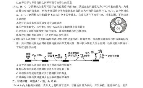 高三联考生物学_2025年11月_251126贵州省金太阳2026届高三上学期11月期中联考（25-107C）_贵州省2026届高三上学期11月期中联考生物+答案