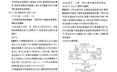 生物答案-辽宁名校联盟2026届高三年级上学期期末质量检测(1)_2026年1月_260116辽宁名校联盟2026年1月高三上期末联考质量检测（全科）