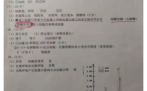 天津市第四十七中学2023-2024学年高三上学期一月考生物答案_2023年9月_01每日更新_26号_2024届天津市第四十七中学高三上学期第一次月考