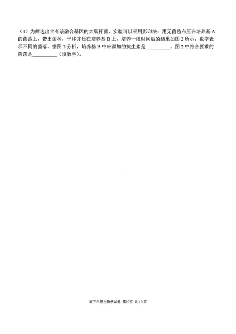 生物试卷-2026届辽宁省五校联盟高三上学期期末考试试卷答案（东北育才省实验大连8、24中鞍山一中）(1)_2026年1月