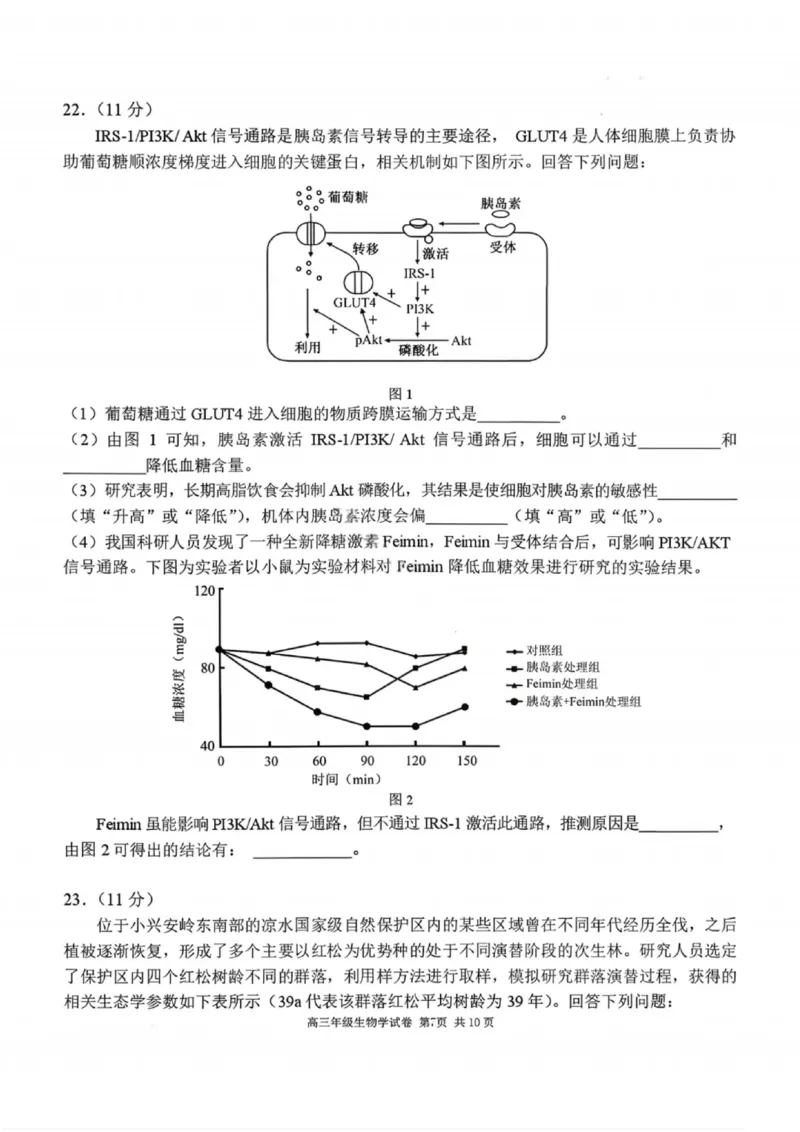生物试卷-2026届辽宁省五校联盟高三上学期期末考试试卷答案（东北育才省实验大连8、24中鞍山一中）(1)_2026年1月