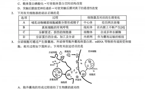 生物试卷-2026届辽宁省五校联盟高三上学期期末考试试卷答案（东北育才省实验大连8、24中鞍山一中）(1)_2026年1月