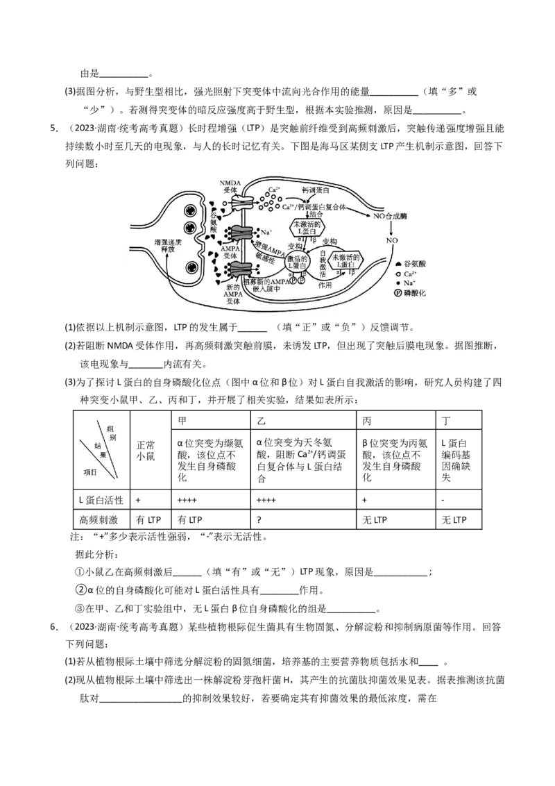 专题20实验与探究（学生卷）_近10年高考真题汇编（必刷）_十年（2014-2024）高考生物真题分项汇编（全国通用）_2023年高考真题和模拟题生物分项汇编（全国通用）