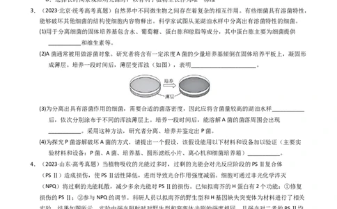 专题20实验与探究（学生卷）_近10年高考真题汇编（必刷）_十年（2014-2024）高考生物真题分项汇编（全国通用）_2023年高考真题和模拟题生物分项汇编（全国通用）