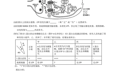 专题20实验与探究（学生卷）_近10年高考真题汇编（必刷）_十年（2014-2024）高考生物真题分项汇编（全国通用）_2023年高考真题和模拟题生物分项汇编（全国通用）