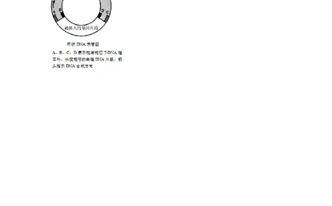 2011年高考生物试卷（北京）（空白卷）_生物历年高考真题_新&middot;PDF版2008-2025&middot;高考生物真题_生物（按试卷类型分类）2008-2025_自主命题卷&middot;生物（2008-2025）_北京自主命题&middot;生物（2008-2025）