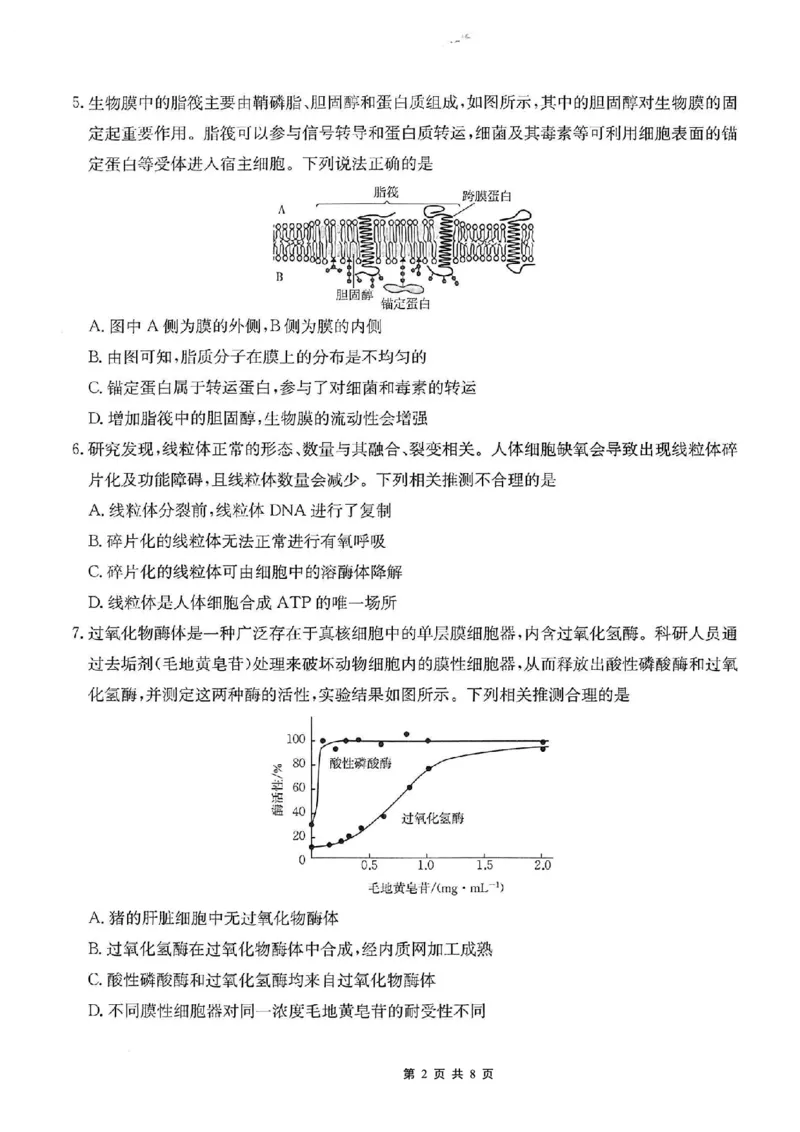 重庆市好教育联盟2026届高三（上）10月联考+生物_2025年10月_251016重庆市金太阳好教育联盟2026届高三10月联考（26-65C）（全科）
