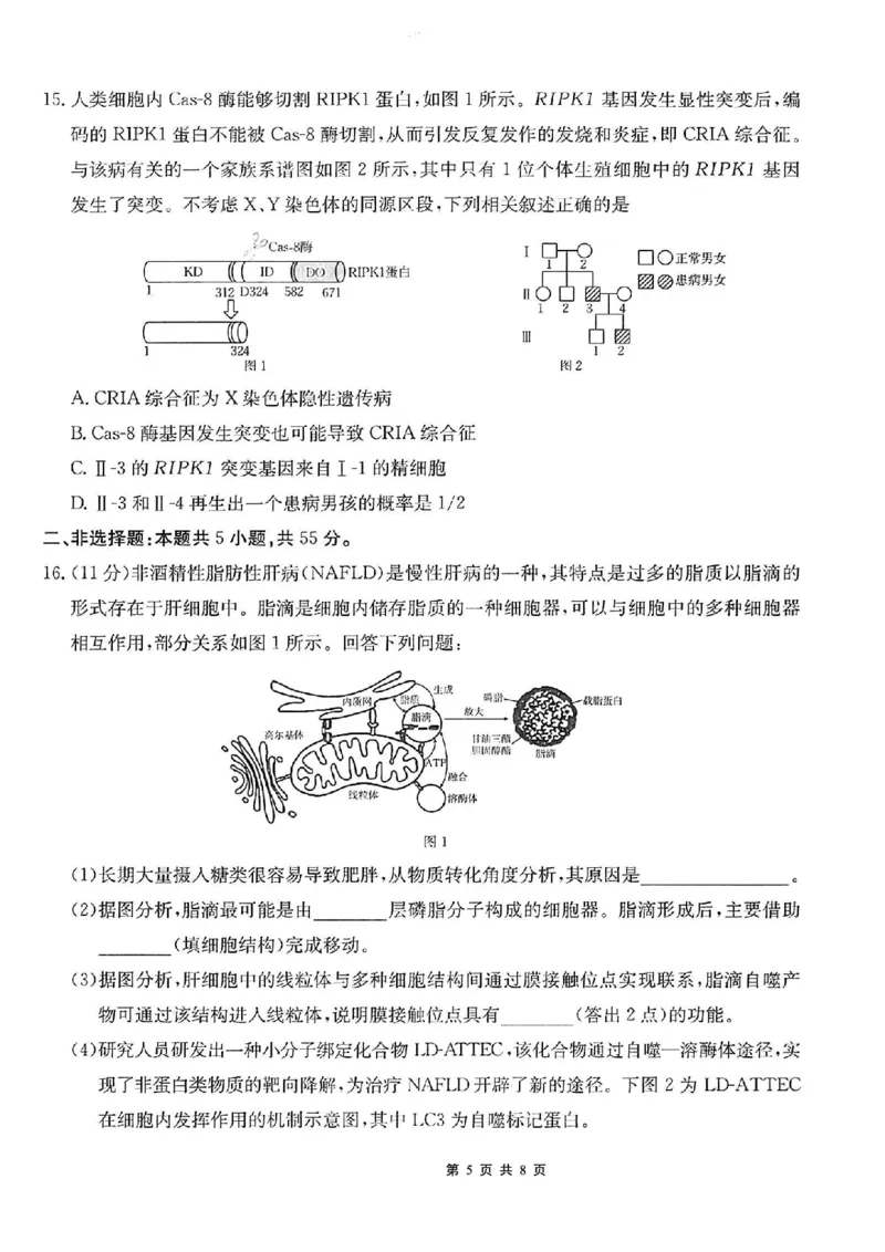 重庆市好教育联盟2026届高三（上）10月联考+生物_2025年10月_251016重庆市金太阳好教育联盟2026届高三10月联考（26-65C）（全科）